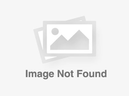 PDMS - PDMSViewDetails